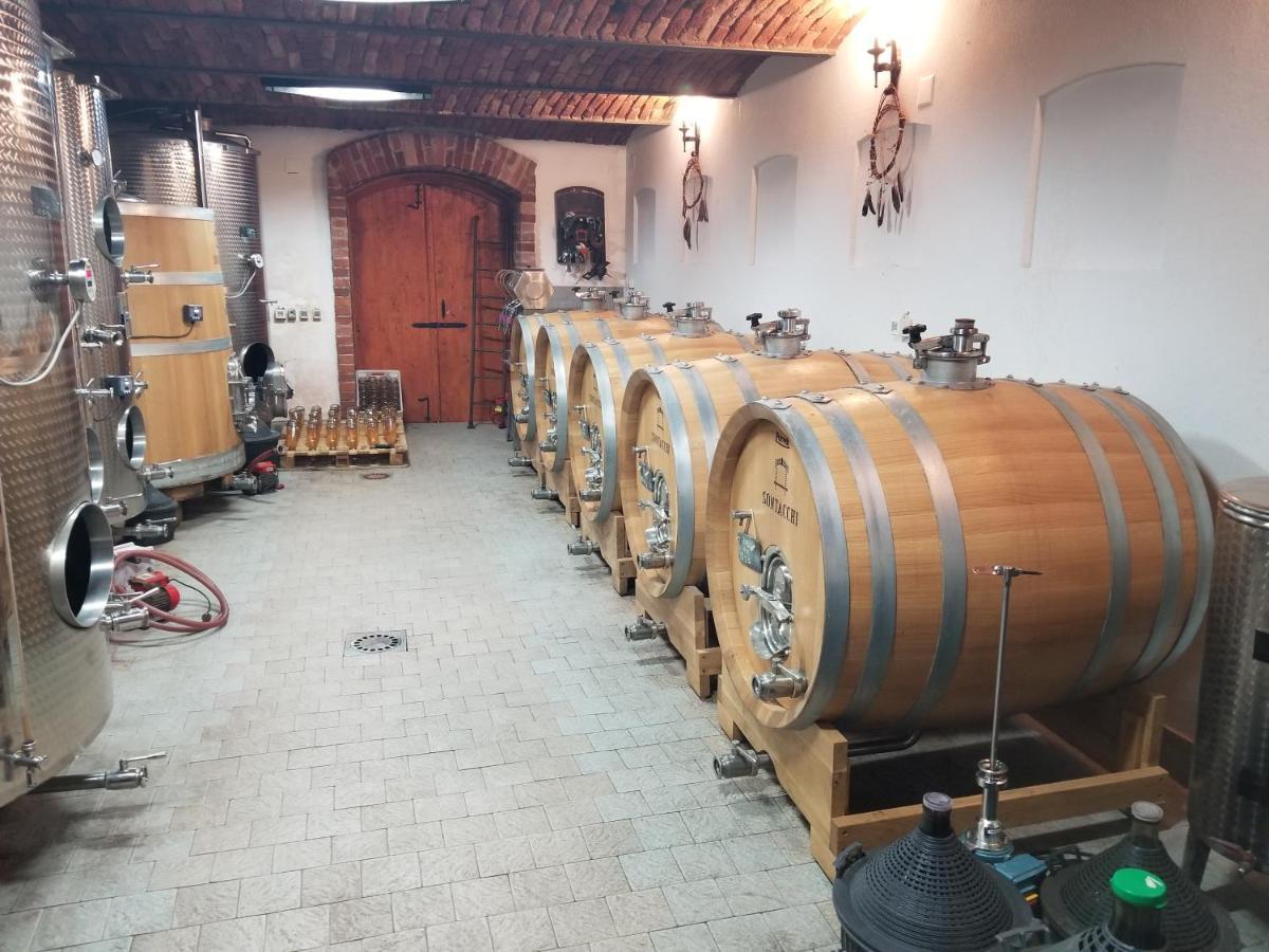 Wellness B&B Winery Sontacchi Kutjevo Dış mekan fotoğraf
